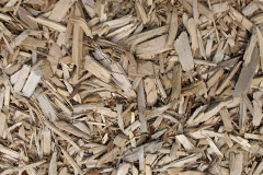 biomass boilers Beaulieu Wood